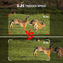 Load image into Gallery viewer, Osmo WildPro
