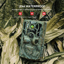 Load image into Gallery viewer, Osmo WildPro
